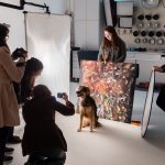 Três dicas infalíveis para fotografar seu pet