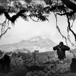 Hiroshi Sugimoto: A arquitetura do tempo